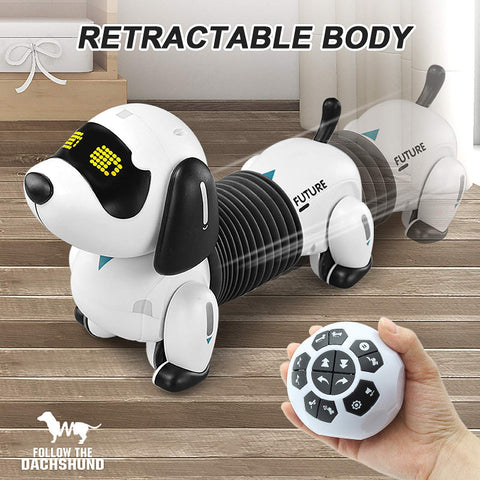 Rc dog